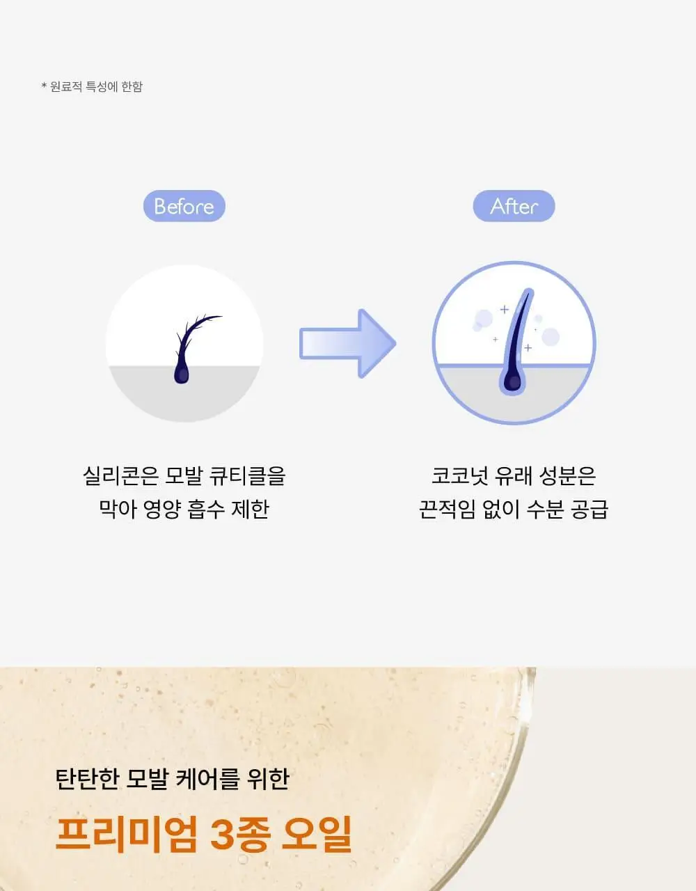 [끈적임제로/열보호] 애쉬로렌 제주 동백오일 헤어에센스 80ml 상세페이지 40